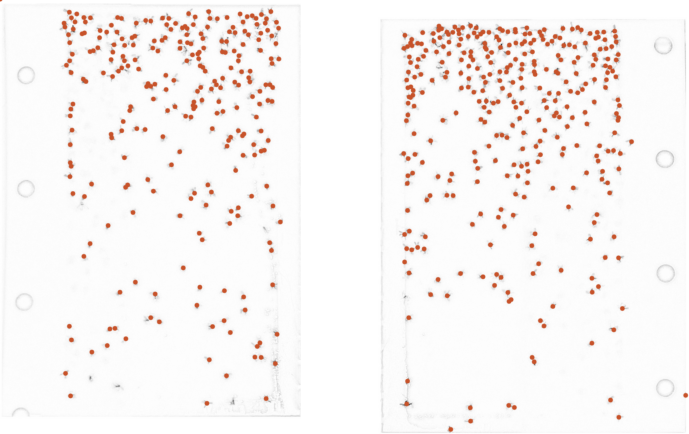 Contour detection of the flies