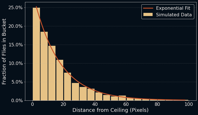 Summary of the fly simulation